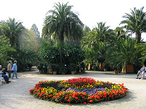 Ausflugsziele - Palmengarten Bad Pyrmont